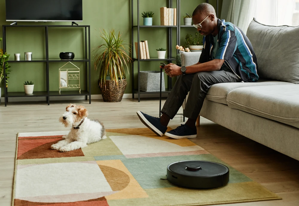 affordable robot vacuum cleaner